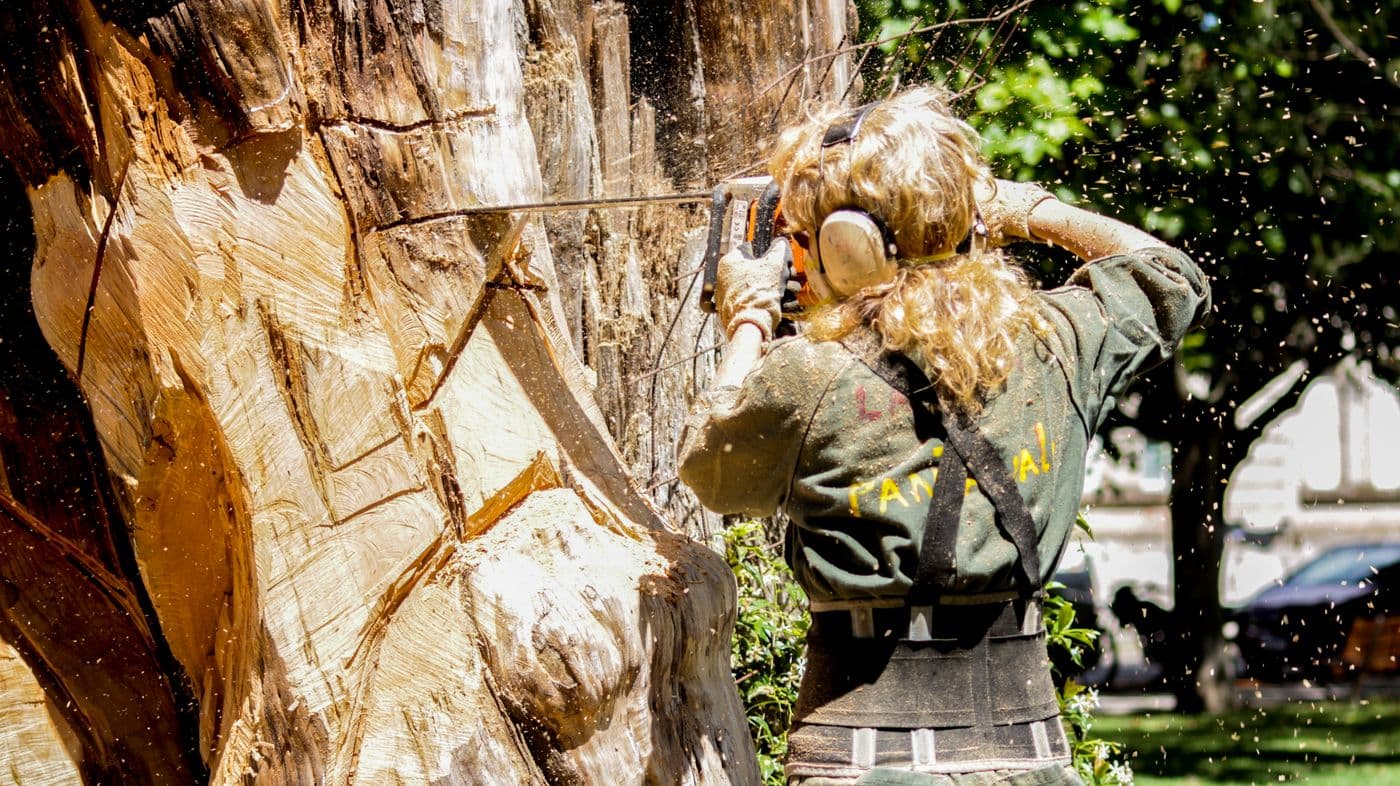 Tree service crew working in Texas