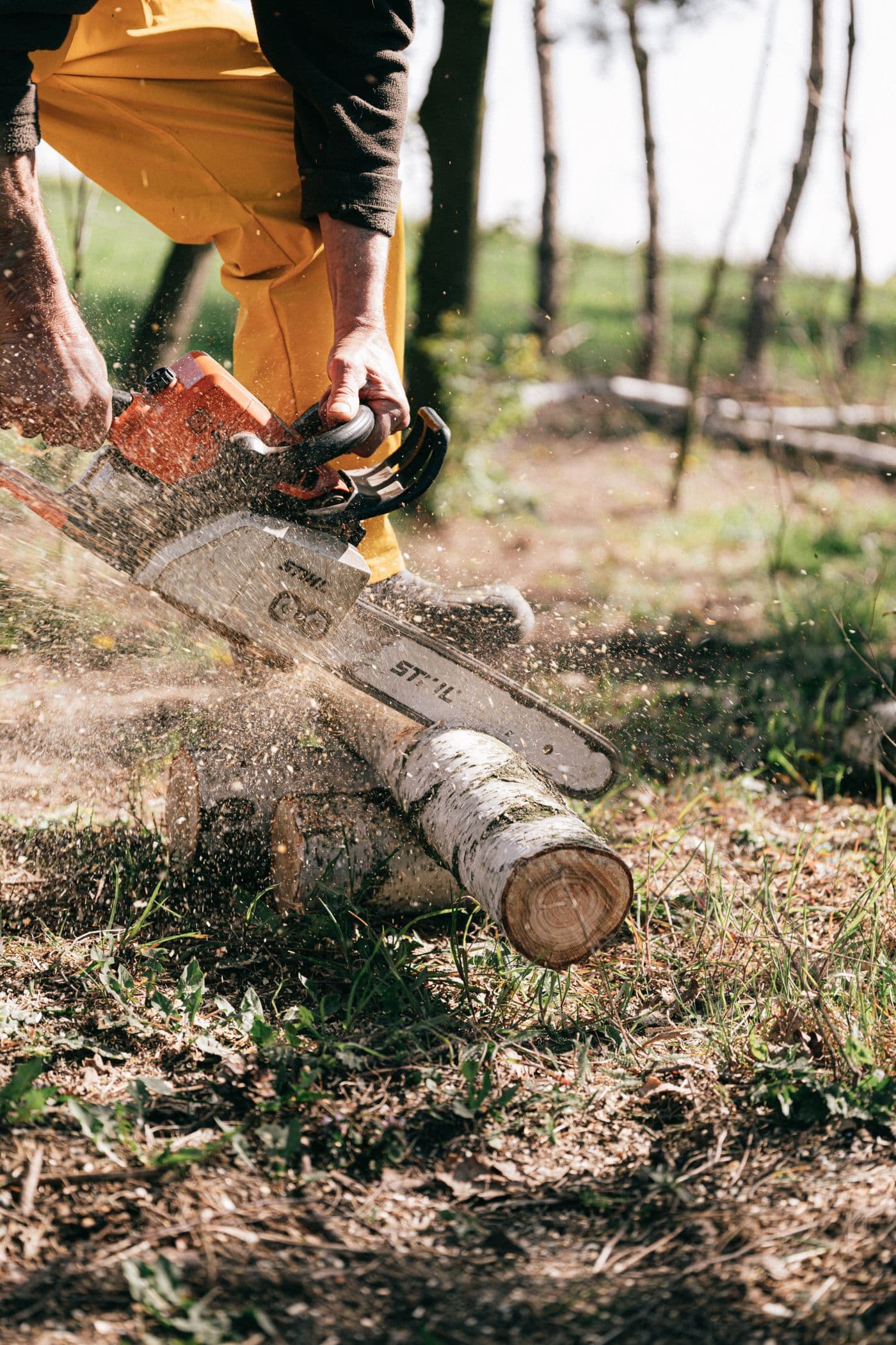 Tree service marketing results in Texas