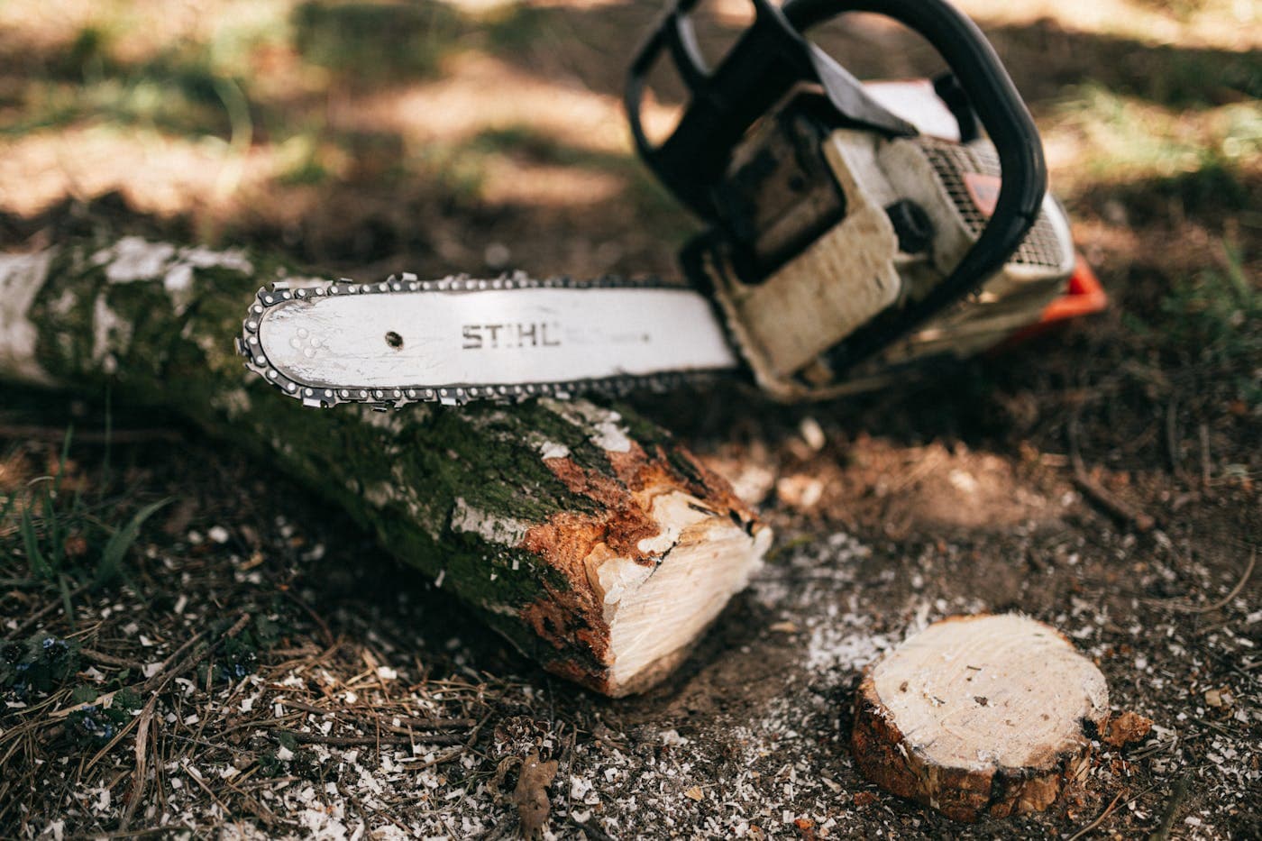 Tree service work in Texas