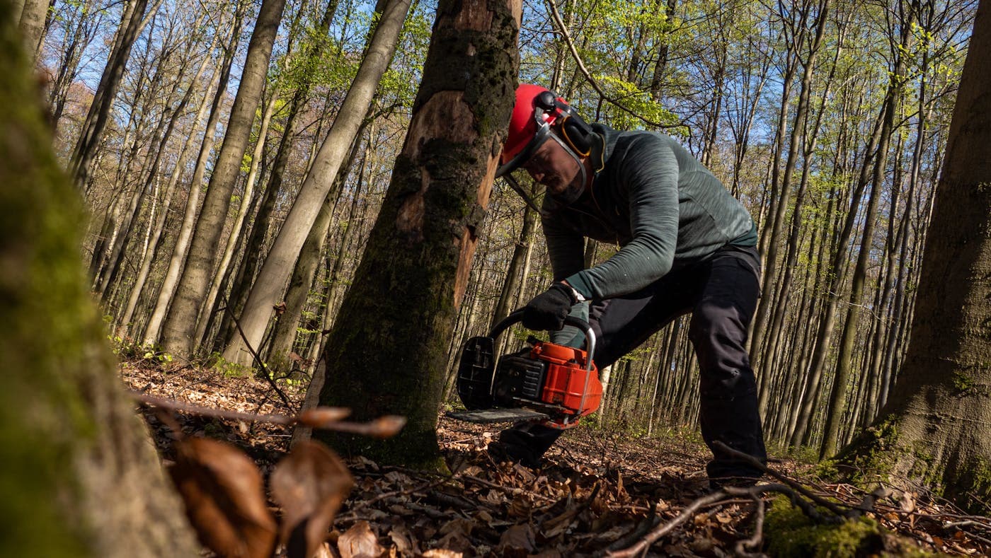 Storm-driven tree work in Delaware