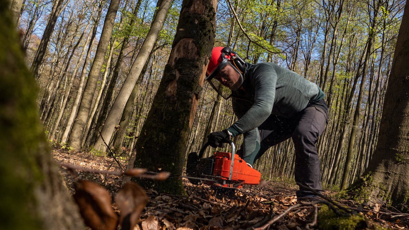 Tree service marketing results in Delaware