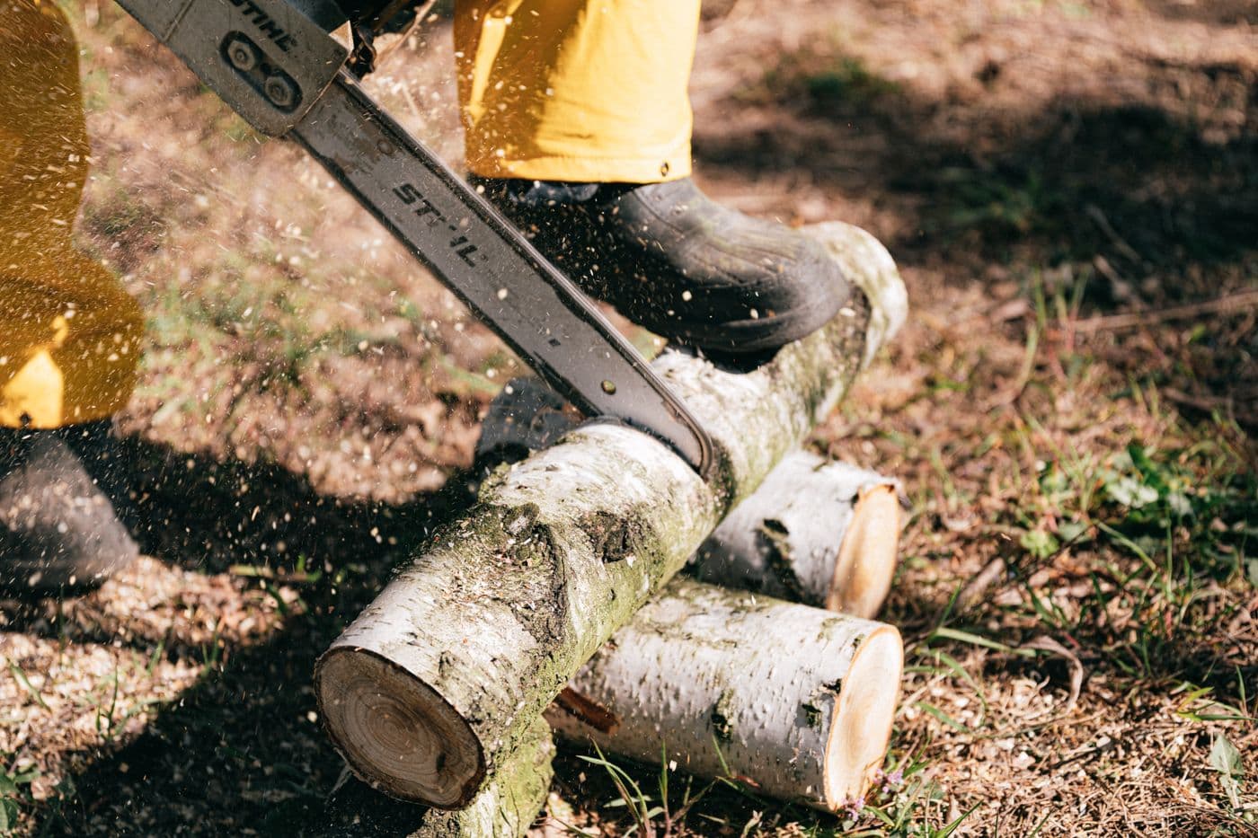 Tree service work in West Virginia