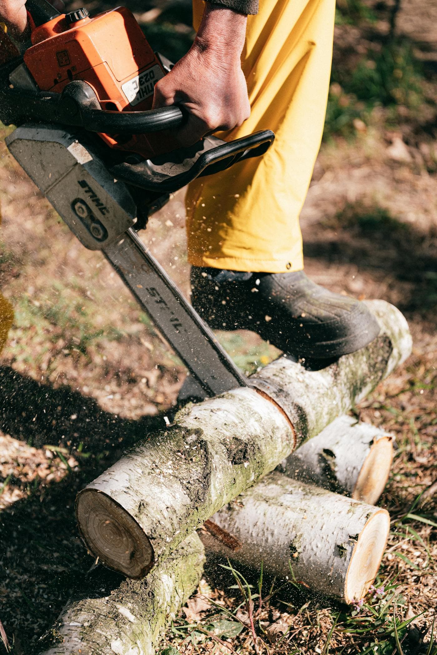 Storm-driven tree work in Maryland